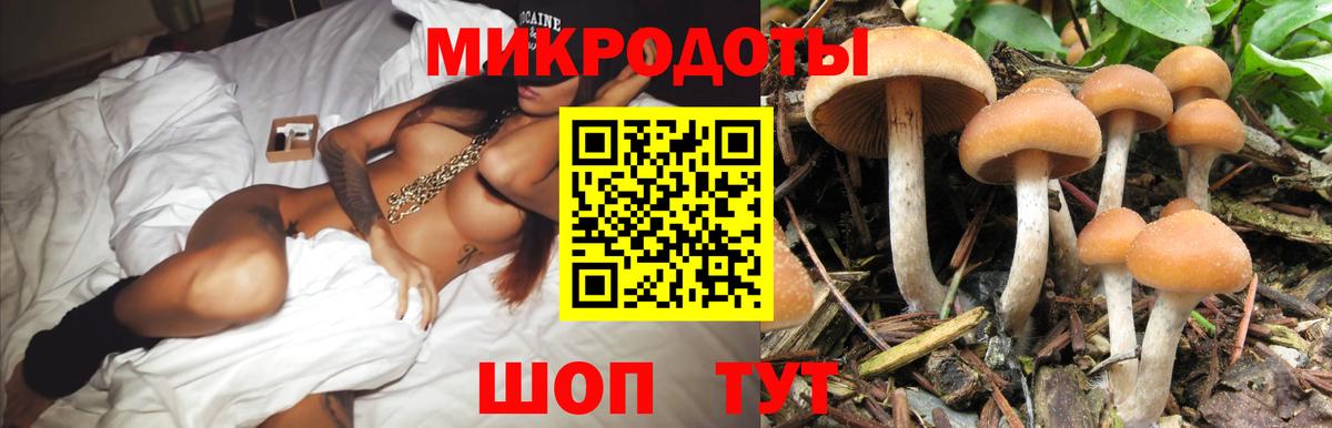 Псилоцибиновые грибы Psilocybine cubensis  Вход с VPN  Вологда  Галлюциногенные грибы Psilocybe 